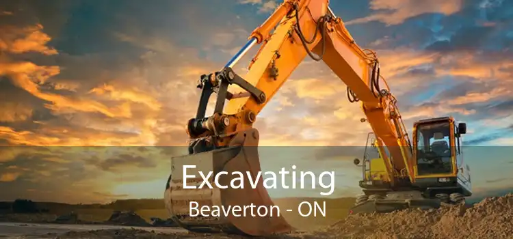 Excavating Beaverton - ON