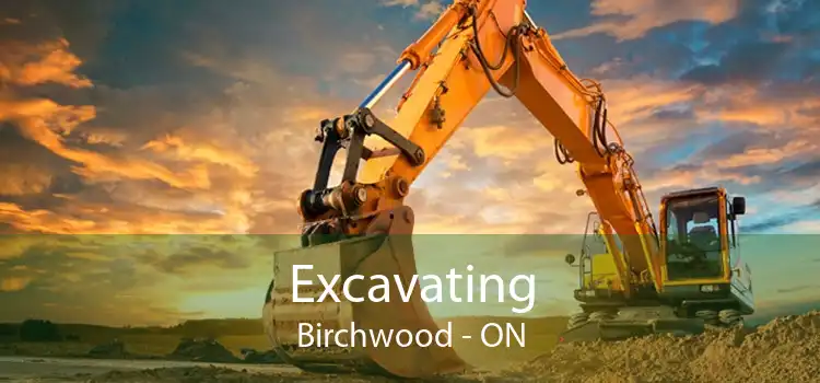 Excavating Birchwood - ON