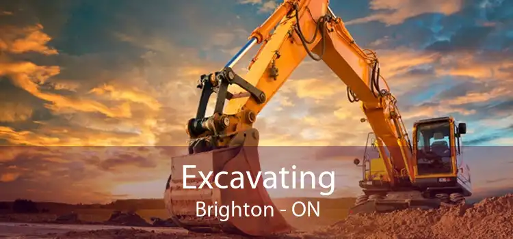 Excavating Brighton - ON