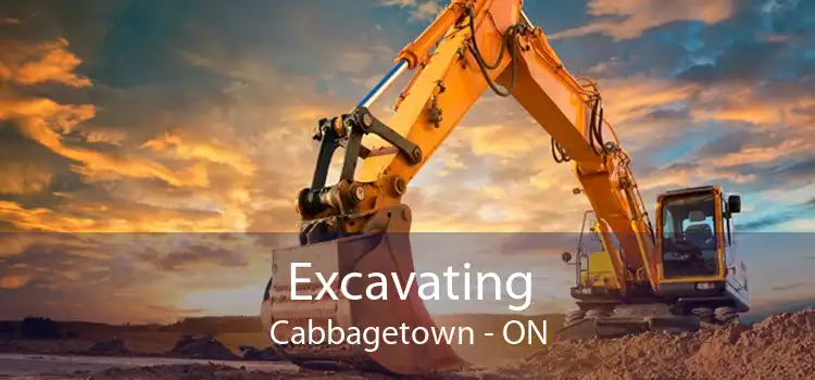 Excavating Cabbagetown - ON