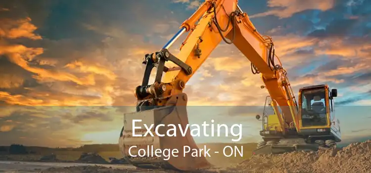 Excavating College Park - ON
