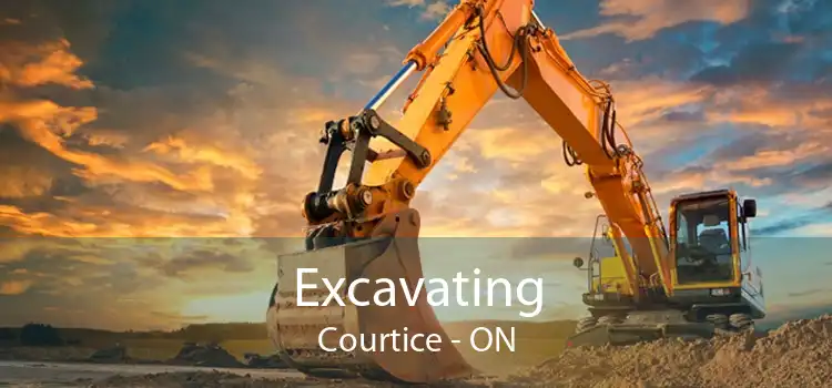 Excavating Courtice - ON