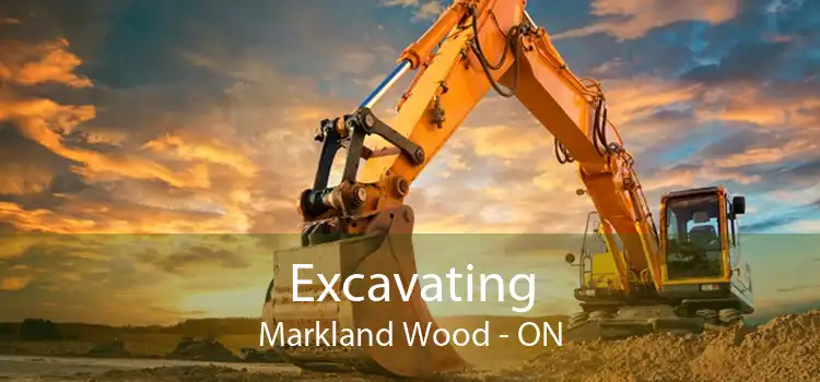 Excavating Markland Wood - ON