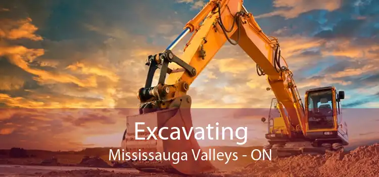 Excavating Mississauga Valleys - ON