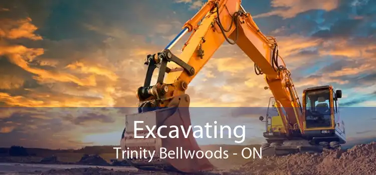 Excavating Trinity Bellwoods - ON