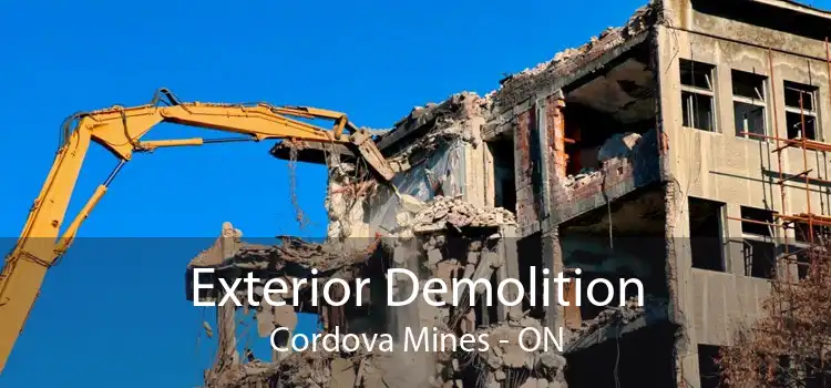 Exterior Demolition Cordova Mines - ON