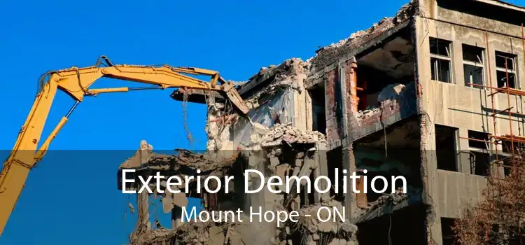 Exterior Demolition Mount Hope - ON