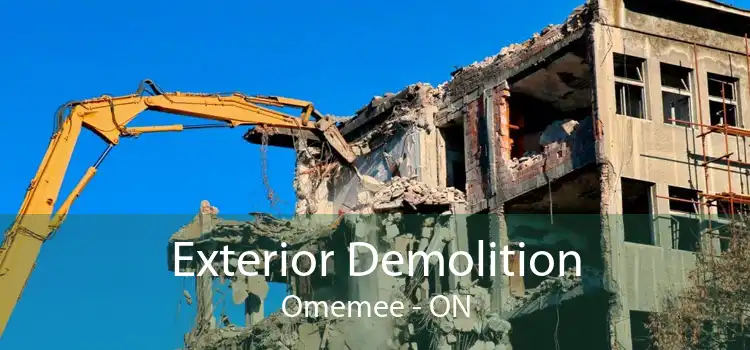 Exterior Demolition Omemee - ON