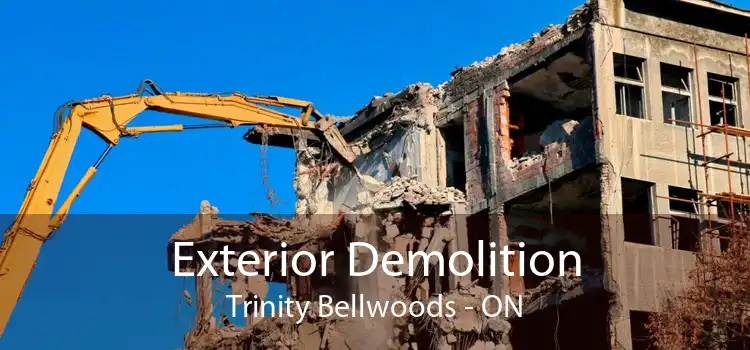 Exterior Demolition Trinity Bellwoods - ON