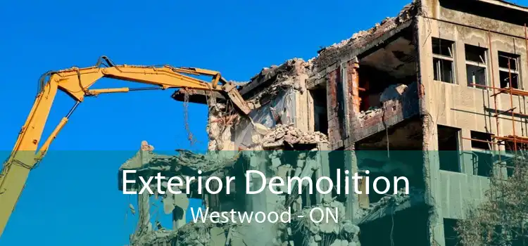 Exterior Demolition Westwood - ON