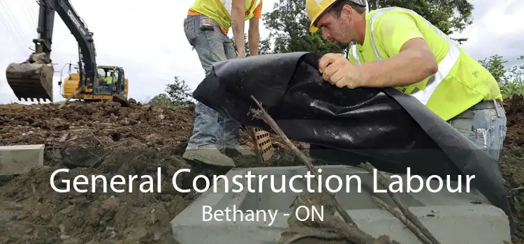 General Construction Labour Bethany - ON