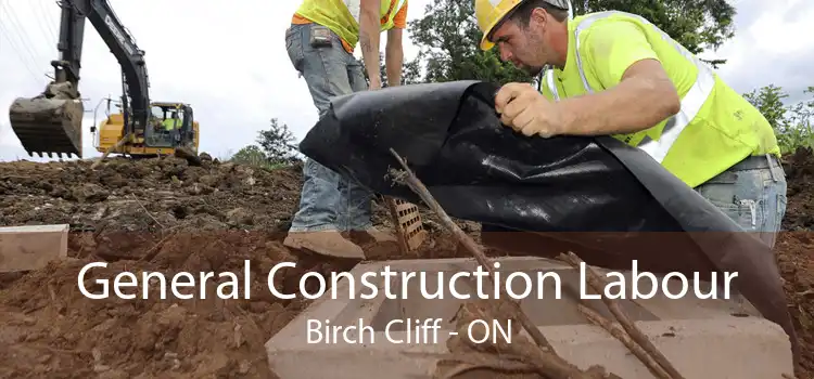 General Construction Labour Birch Cliff - ON