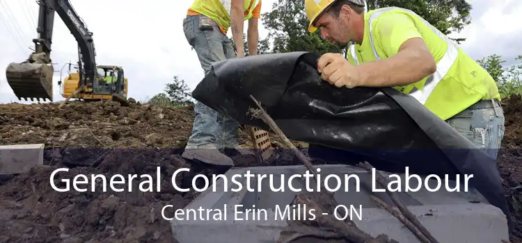 General Construction Labour Central Erin Mills - ON