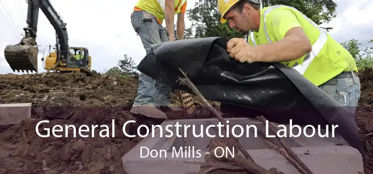 General Construction Labour Don Mills - ON