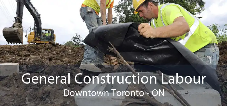 General Construction Labour Downtown Toronto - ON