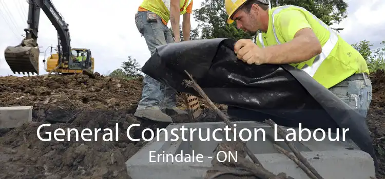 General Construction Labour Erindale - ON