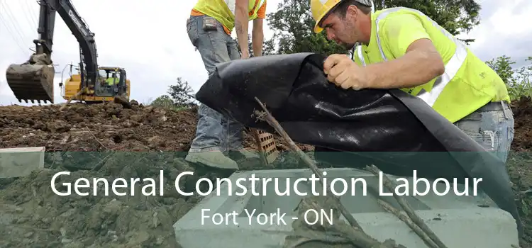 General Construction Labour Fort York - ON
