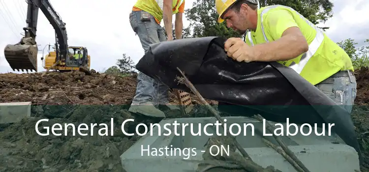 General Construction Labour Hastings - ON