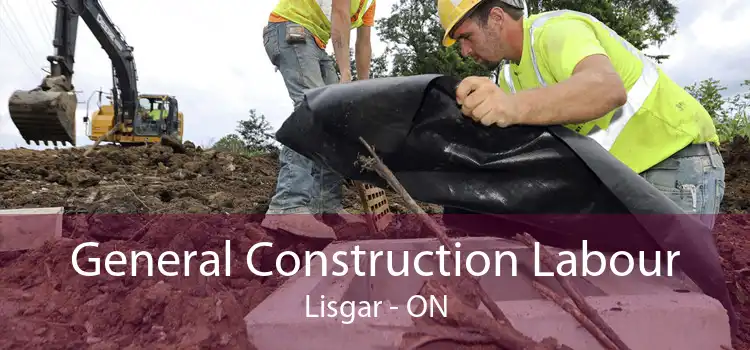 General Construction Labour Lisgar - ON