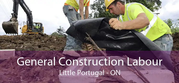 General Construction Labour Little Portugal - ON