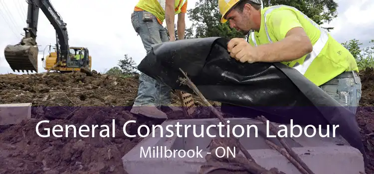 General Construction Labour Millbrook - ON