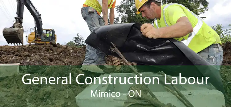 General Construction Labour Mimico - ON