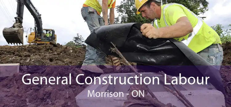 General Construction Labour Morrison - ON
