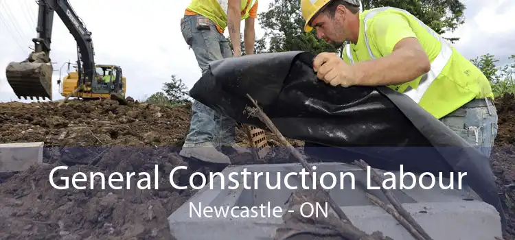 General Construction Labour Newcastle - ON