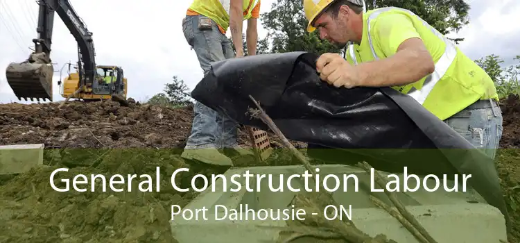 General Construction Labour Port Dalhousie - ON