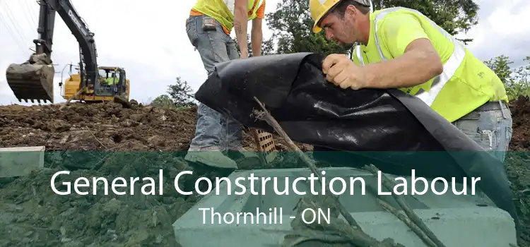 General Construction Labour Thornhill - ON