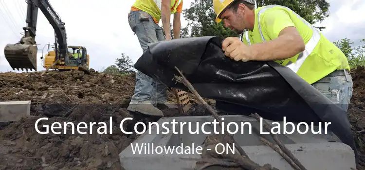 General Construction Labour Willowdale - ON
