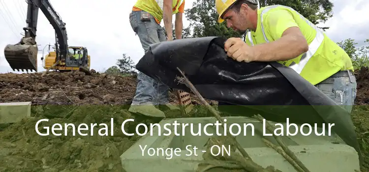 General Construction Labour Yonge St - ON