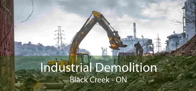 Industrial Demolition Black Creek - ON
