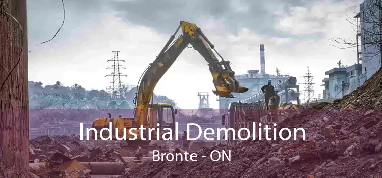 Industrial Demolition Bronte - ON