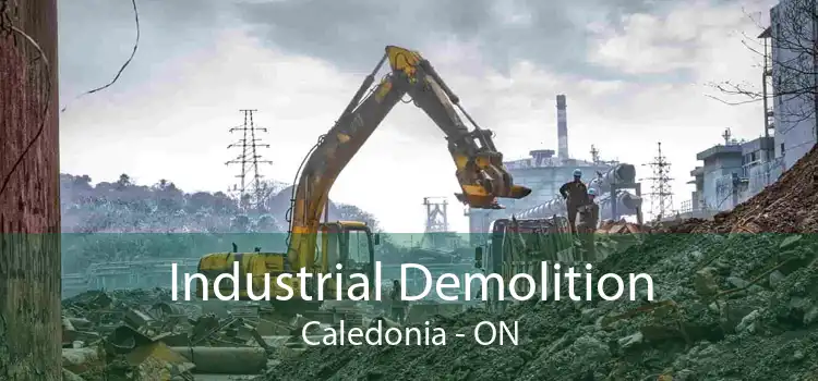 Industrial Demolition Caledonia - ON