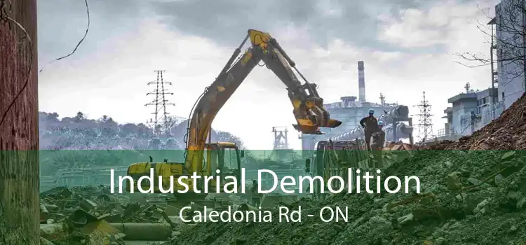 Industrial Demolition Caledonia Rd - ON