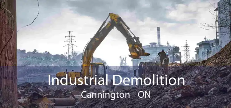 Industrial Demolition Cannington - ON