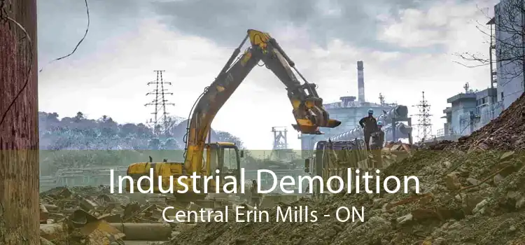 Industrial Demolition Central Erin Mills - ON