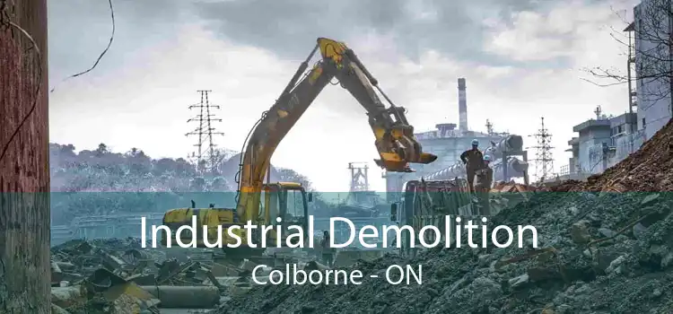 Industrial Demolition Colborne - ON
