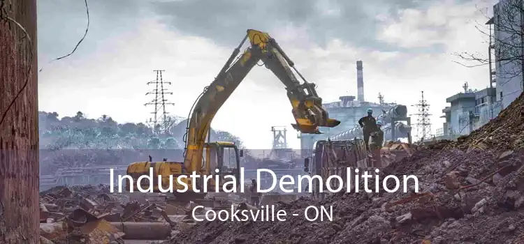 Industrial Demolition Cooksville - ON
