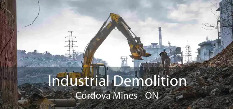 Industrial Demolition Cordova Mines - ON