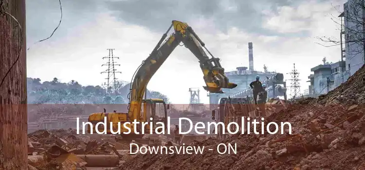Industrial Demolition Downsview - ON