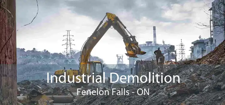 Industrial Demolition Fenelon Falls - ON