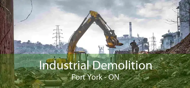 Industrial Demolition Fort York - ON