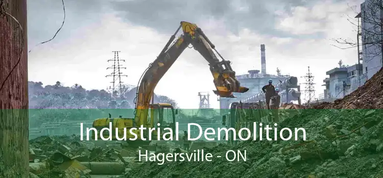 Industrial Demolition Hagersville - ON