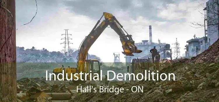 Industrial Demolition Hall's Bridge - ON