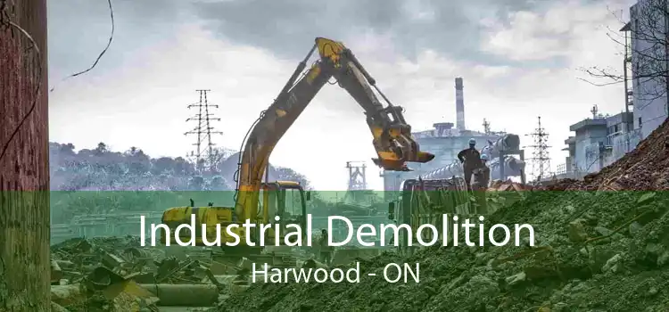 Industrial Demolition Harwood - ON