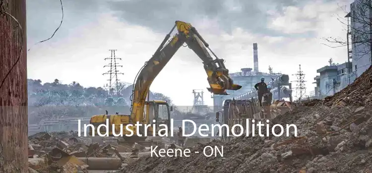 Industrial Demolition Keene - ON