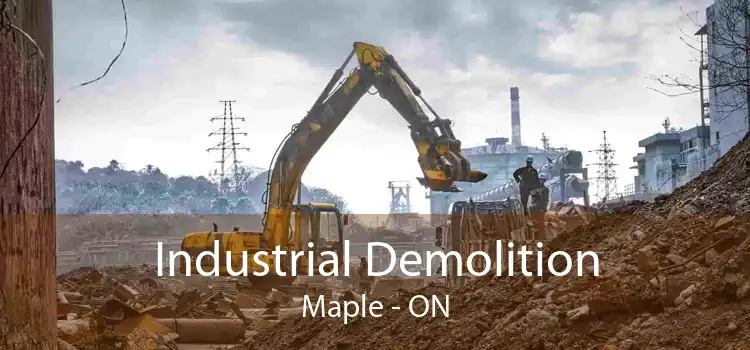 Industrial Demolition Maple - ON