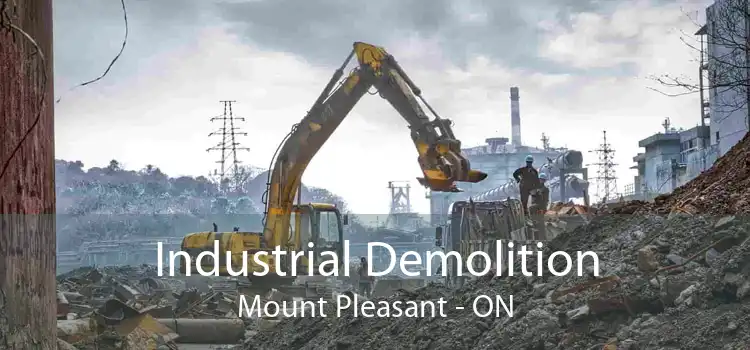 Industrial Demolition Mount Pleasant - ON